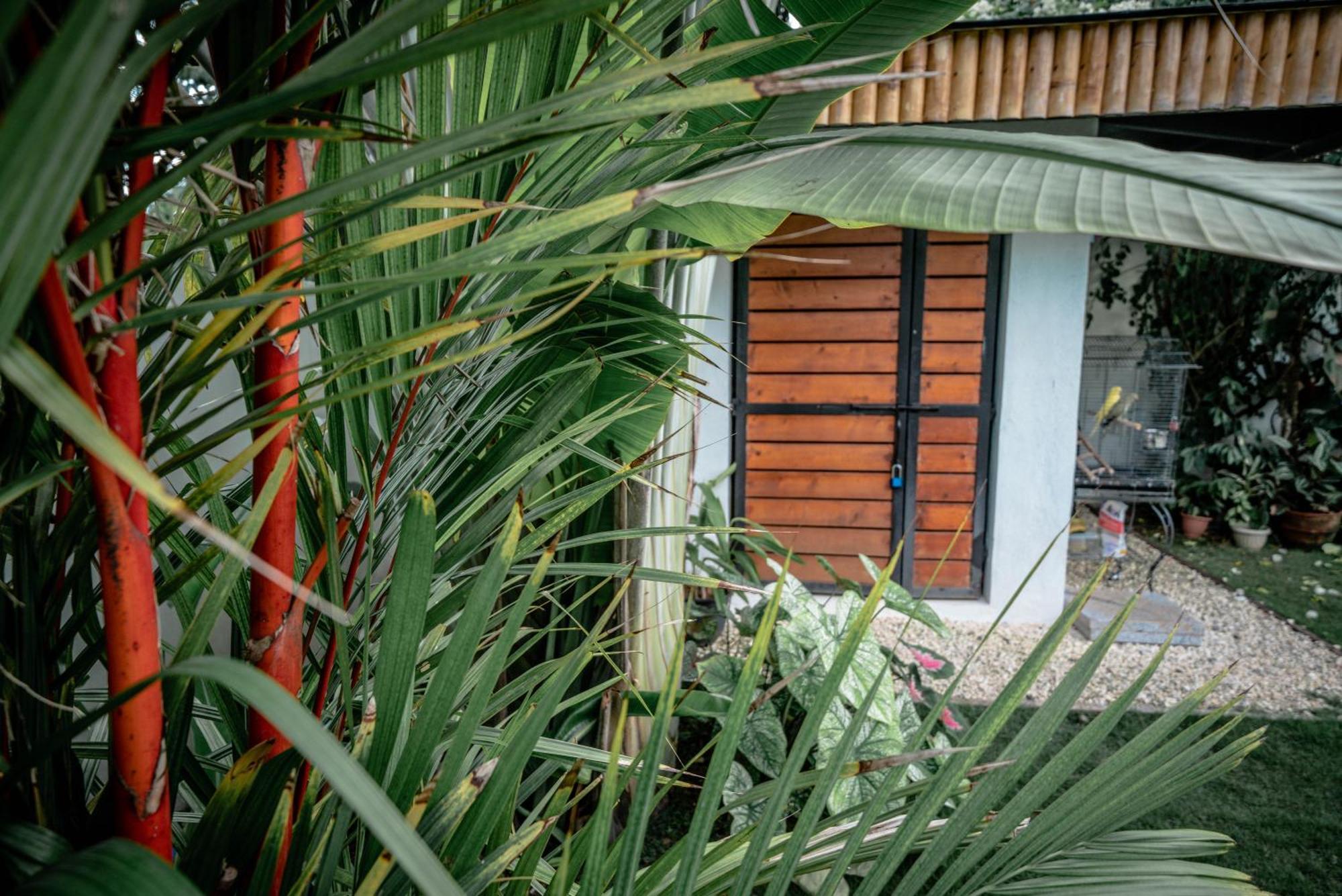 Tana Mysterious Garden Βίλα Panglao Εξωτερικό φωτογραφία