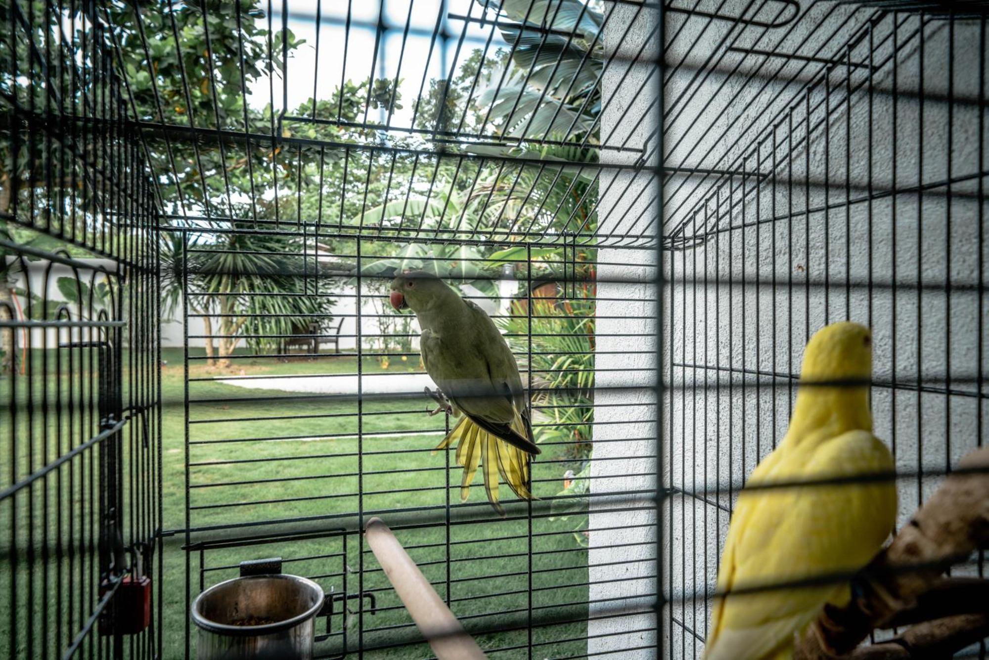Tana Mysterious Garden Βίλα Panglao Εξωτερικό φωτογραφία