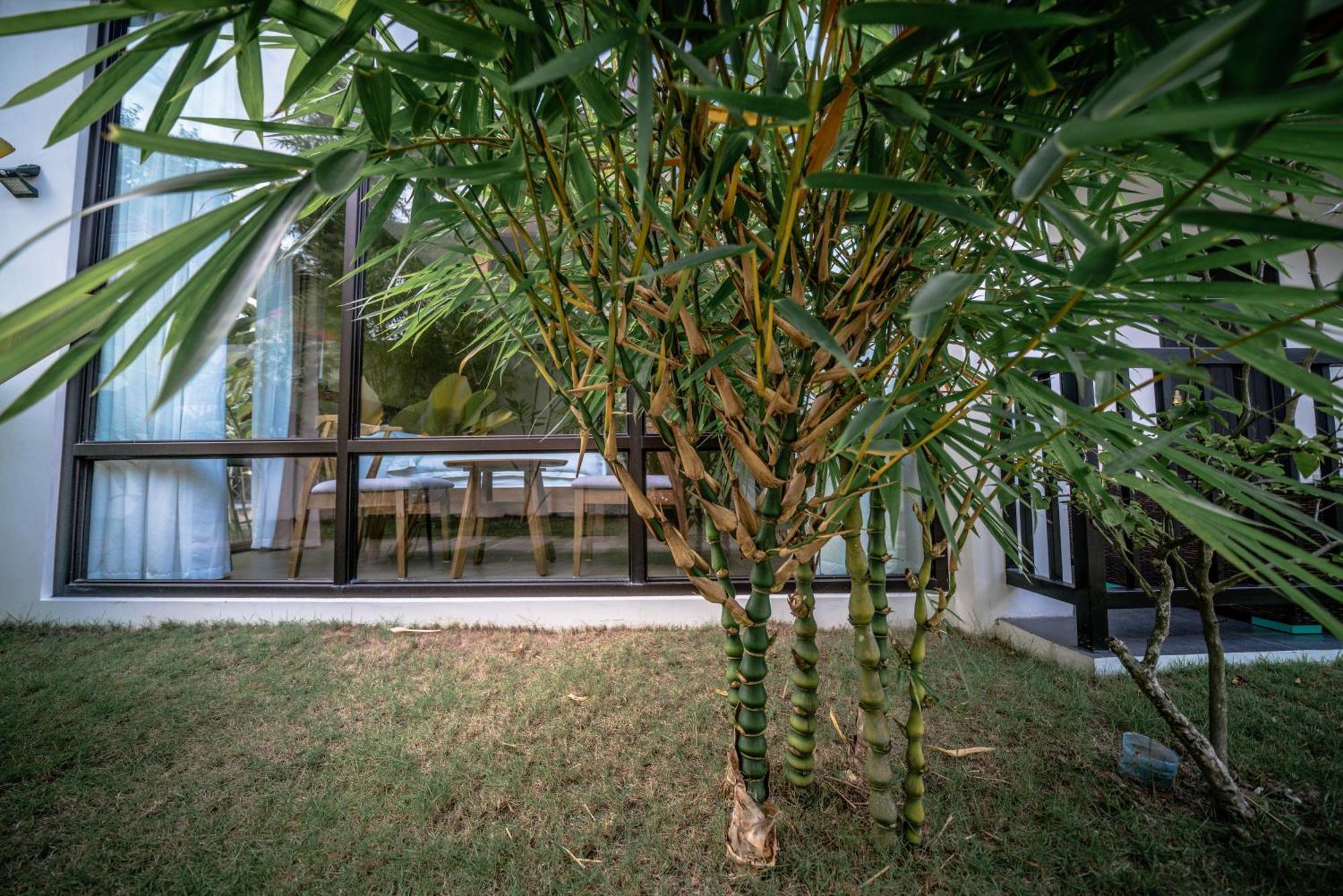 Tana Mysterious Garden Βίλα Panglao Εξωτερικό φωτογραφία